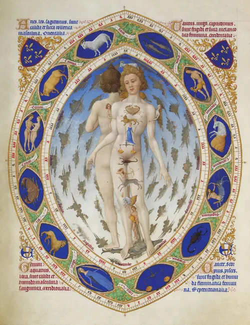 anatomical zodiac man (1411 1416) zodijak 