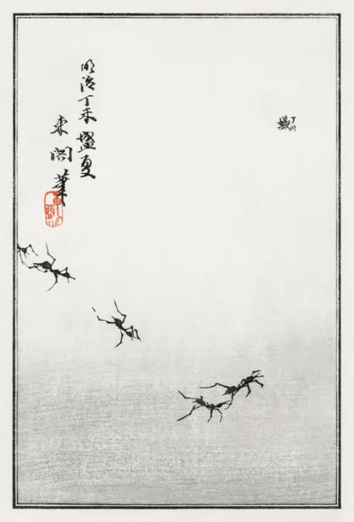 ants trail (1910) churui gafu japan morimoto toko životinje 