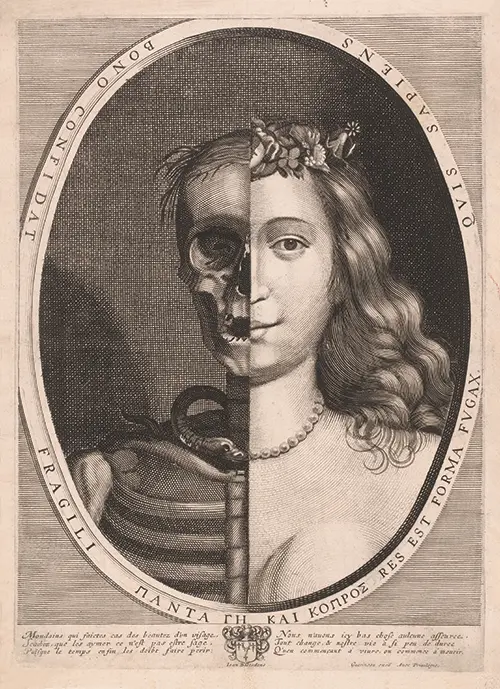 bust of half a skeleton and half a young woman (1615 1664) anonymous  