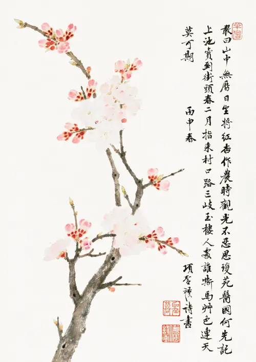 chinese cherry blossom (1656) xiang shengmo 