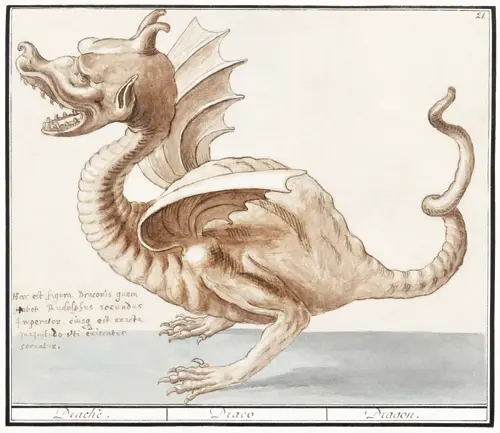 dragon (1596 1610) anselmus boëtius de boodt 