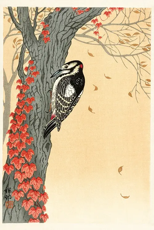 great spotted woodpecker in tree with red ivy (1925 1936) japan ohara koson 