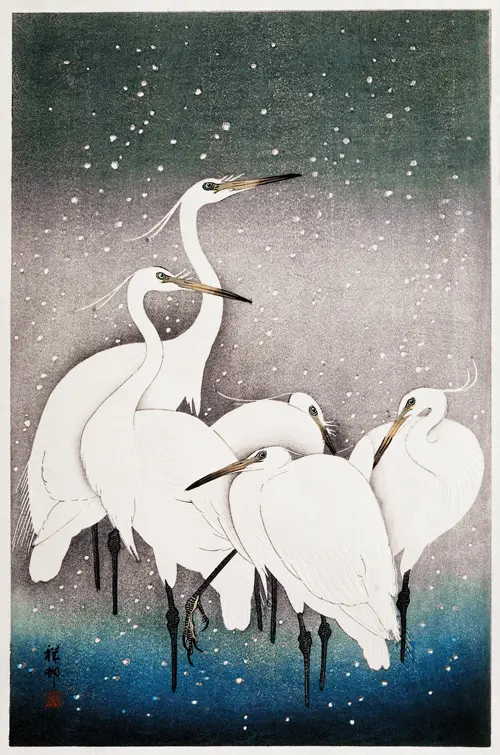 group of egrets japan ohara koson životinje 