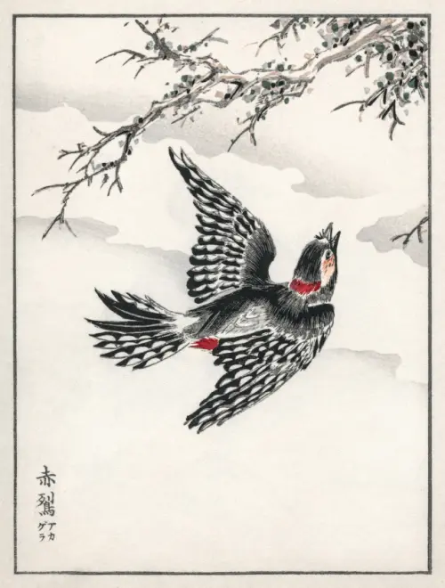 hondo great spotted woodpecker (1885) pictorial monograph of birds japan numata kashu životinje 