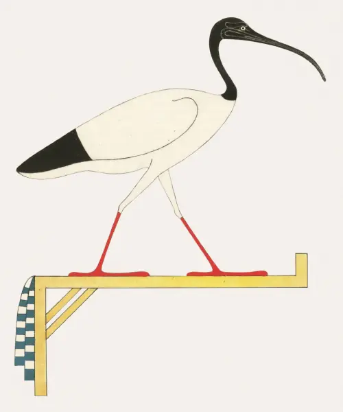 ibis, emblem of thoth (1823 1825)  