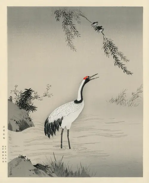 japanese crane (1476 1559) japan životinje 