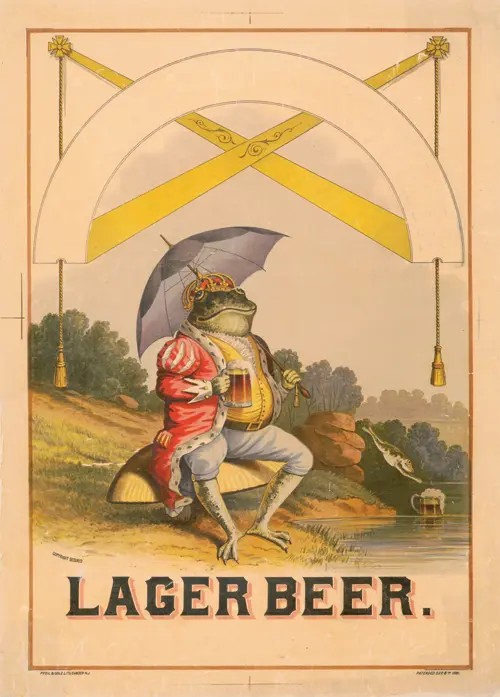 lager beer  