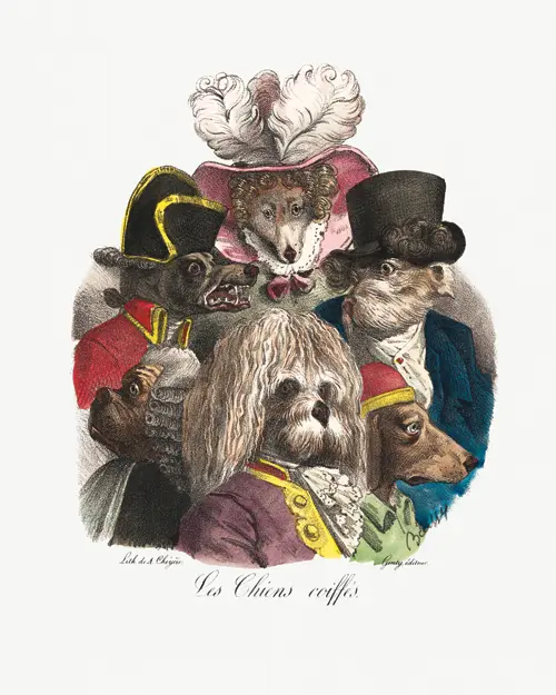 les chiens coiffés (1825) a cheyère 