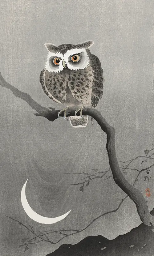 long eared owl on bare tree branch (1900 1930) japan ohara koson životinje 