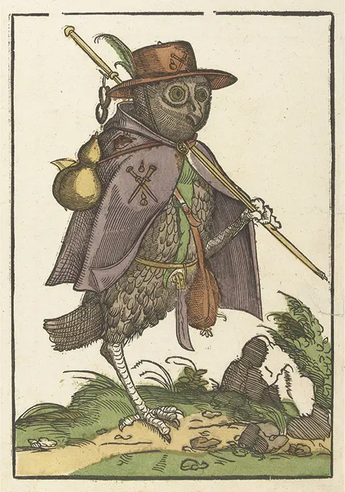 owl dressed up as a pilgrim (1500 1549)  