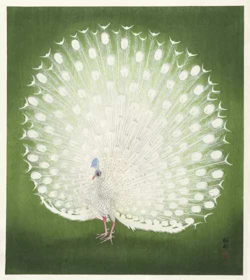 peacock (1925 1936) japan životinje 