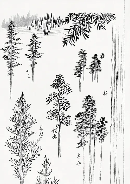 pine trees japan katsushika hokusai 
