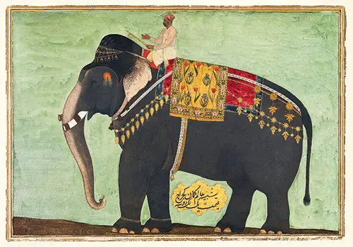 portrait of the elephant alam guman (1640)  