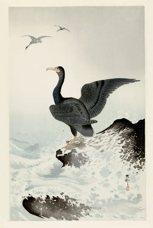 red mask cormorant on rock (1900 1936) japan ohara koson 