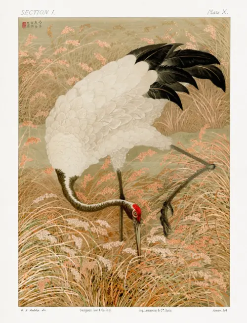 sarus crane in rice field (1884) the ornamental arts of japan g a audsley 