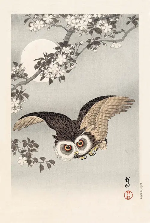 scops owl, cherry blossoms, and moon (1926) ohara koson 