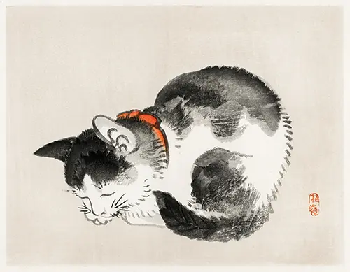 sleeping cat kōno bairei životinje 