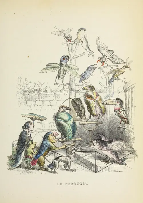 the perch (1844) grandville 