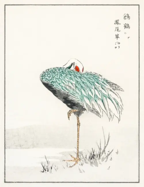 white naped crane and new years fern (1885) pictorial monograph of birds japan numata kashu životinje 