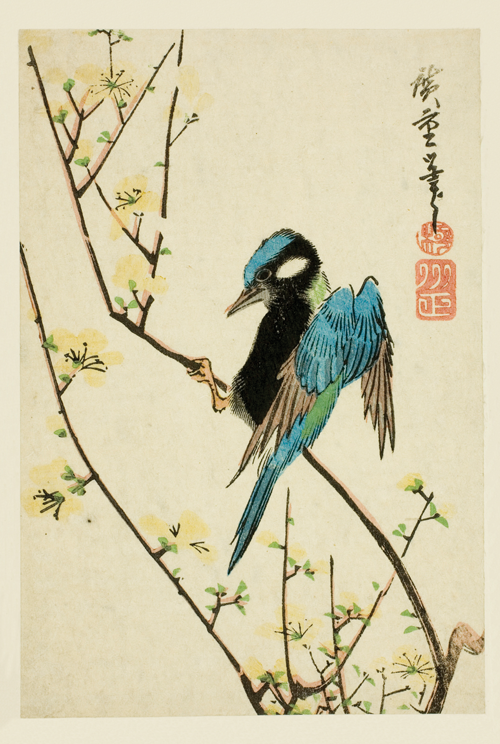 java sparrow on cherry branch utagawa hiroshige 
