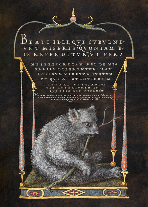 a sloth from mira calligraphiae monumenta or the model book of calligraphy (1561 1596) georg bocskay joris hoefnagel 