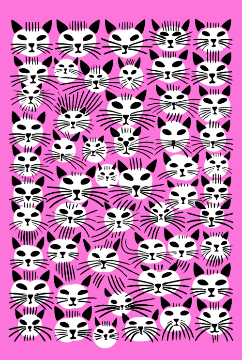 cats brkovi (pink)  