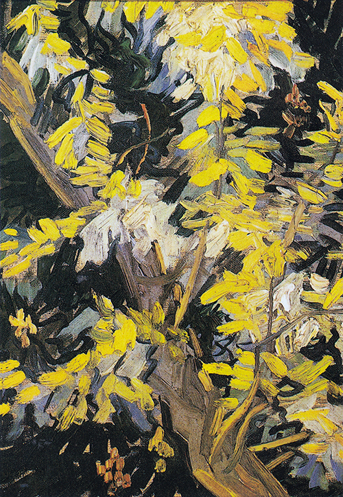 blossoming acacia branches (1890) vinsent van gog 