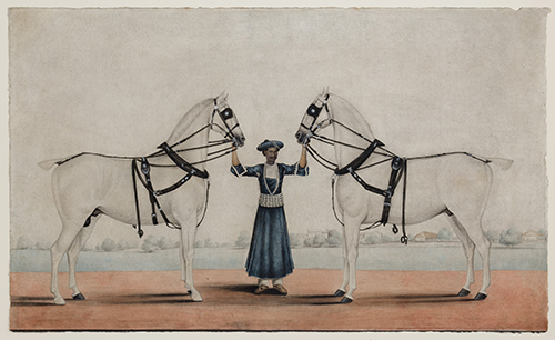 a syce (groom) holding two carriage horses shaikh muhammad amir of karraya 