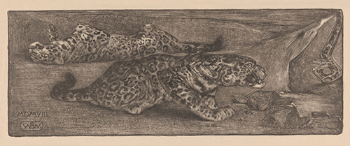 jaguars (1908) bernard willem wierink 