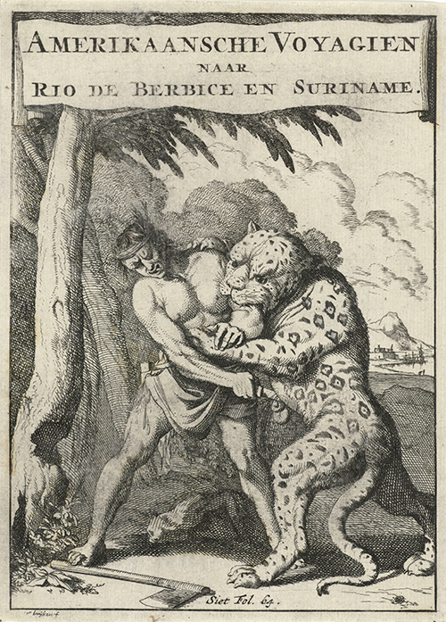 man in combat with a panther (1695) (american voyages to the rio berbice and suriname) caspar luyken jan claesz ten hoorn 