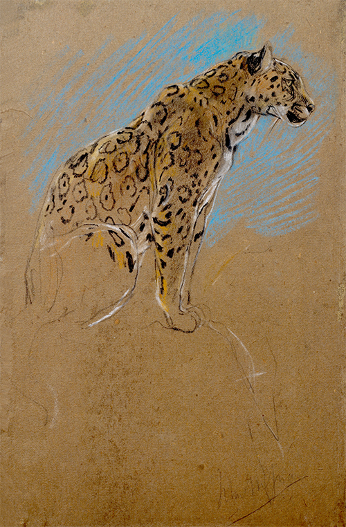 study of a jaguar (1874 1910) john macallan swan 