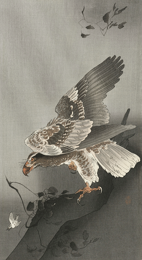 eagle lurking at a prey (1877 1930) ohara koson 