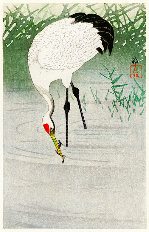 fishing crane in shallow water (1900 1945) ohara koson 