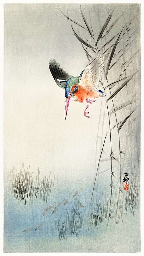 kingfisher hunting for fish in the water (1900) ohara koson 