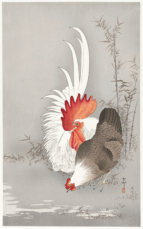 rooster and chicken (1900 1930) ohara koson 