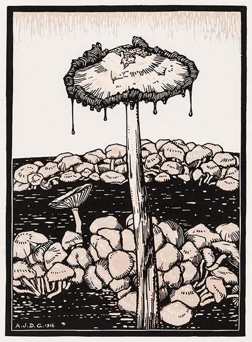 dripping mushroom (1916) julie de graag 