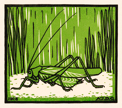 grasshopper (1918) julie de graag 