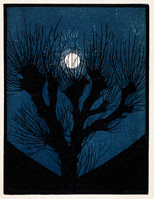 moon light (1920) julie de graag 